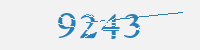 보안문자